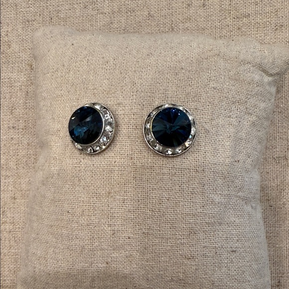 Jewelry - Elegant Blue and Silver Stud Earrings